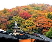 栖霞山1日游